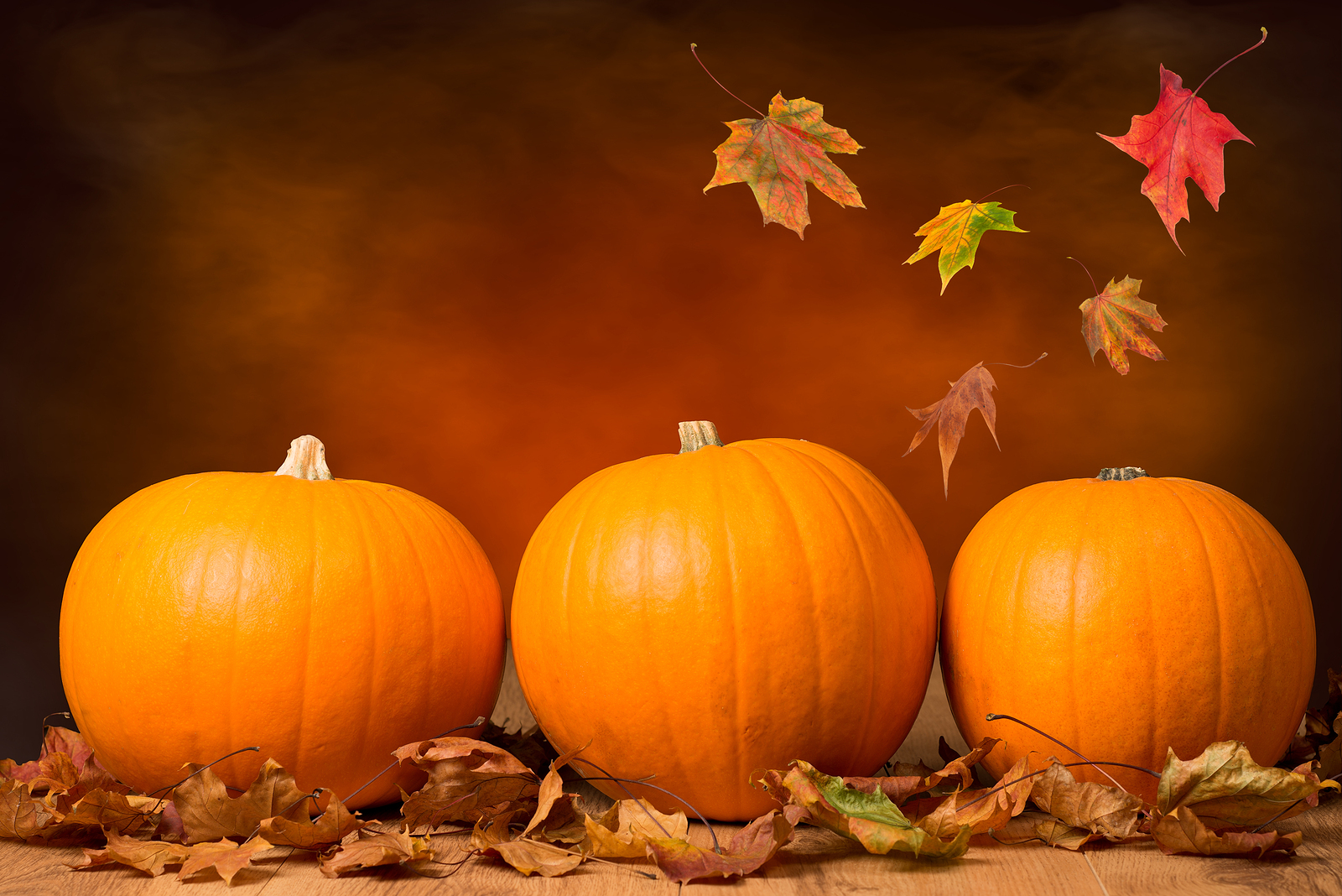 three-pumpkins-with-fall-leaves-with-seasonal-background-rizzo-s
